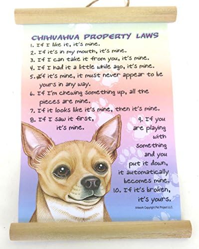 Chihuahua, Dog Gift Pack, Elegant Three Large Magnet, Gift For, Boac Labrador Lovers, Set of Three Magnet