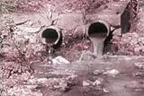 Classic Pollution Films DVD: 1930's - 1970's Water, Land & Air Pollution Films Including Environmental, Soil Erosion, Groundwater, Trash, and Industrial & Factory Pollution History Pictures Films