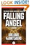 Falling Angel by William Hjortsberg