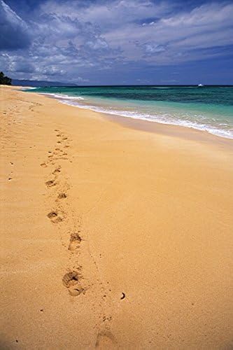 6.5 Ft*5 Ft Beach Photo Studio Backdrops One Set of Footprints Sea Sunset Wedding Background Cloth K-2908