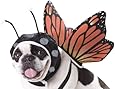 Animal Planet PET20101 Butterfly Dog Costume, Small