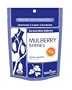 Navitas Naturals Organic Mulberries Turkish Superfruit, 16-Ounce Pouch