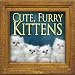 CUTE FURRY KITTENS