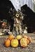 Extreme Pumpkin Carving: 20 Amazing designs from Frightful to Fabulous