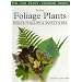 Exciting Foliage Plants and How To Grow Them