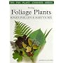 Exciting Foliage Plants and How To Grow Them