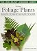 Exciting Foliage Plants and How To Grow Them