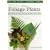 Exciting Foliage Plants and How To Grow Them
