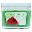 Vanilla & Watermelon Soy Candle