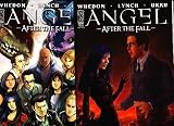 cover of Angel After The Fall #5 Cover Set
