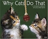 Why Cats Do That 2008 Calendar