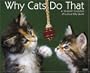 Why Cats Do That 2008 Calendar
