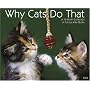 Why Cats Do That 2008 Calendar