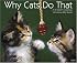 Why Cats Do That 2008 Calendar