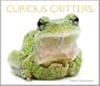 Curious Critters