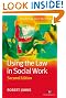 Using the Law in Social Work (Transforming Social Work Practice)