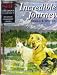 Burnford,Sheila Incredible Journey CASSETTE