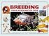 A Practical Guide to Breeding Your Freshwater Fish: How to Breed And Rear a Wide Range of Popular Freshwater Fish (Tankmaster S.)