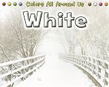 White (Colors All Around Us _)