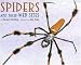 Books : Spiders and their Web Sites