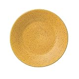 Pfaltzgraff Nuance of Gold Salad Plate