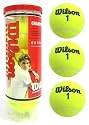 Wilson Championship Can of 3 Tennis balls