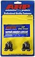ARP 3302802 Pro Series Flywheel Bolt Kit
