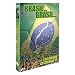 Brasil...Brasil� les �toiles du Football