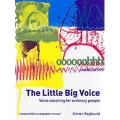 The Little Big Voice