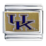 Uk Kentucky Licensed Sports Italian Charms Bracelet Link