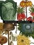 Botanical Postcard Box