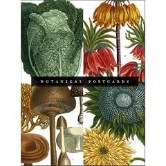 Botanical Postcard Box