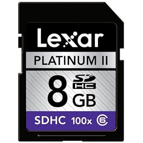 Lexar SDHC 8 GB Class 6 Flash Memory Card 100x Jewel Case Envelope Bulk LSD8GBBE100