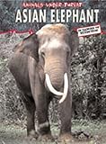 Asian elephant