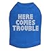 Here Comes Trouble - Dog Shirt