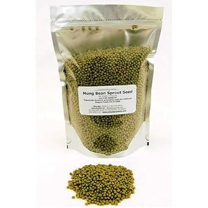 Mung Bean Sprouting Seed Organic 5 Lbs Mung Bean Sprouting Seed Organic 5 Lbs