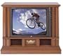 Zenith B25A74R 25-Inch Traditional Console TV