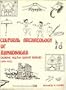 Cultural Archaeology of Ahmadnagar During Nizam Shai Period, 1494-1632