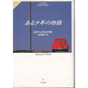 ���鏭�N�̕��� (Hayakawa Novels)
