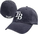 Tampa Bay Rays Navy Franchise Fitted Hat