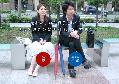24本骨傘 高強度グラスファイバー仕様 【雨宿】 (あまやどり) 直径約105cm ネイビー 22818