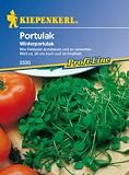 Eigenschaften Kiepenkerl - Gemüse-Saatgut  / Portulak Winterportulak