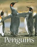 Penguins (Animalways)