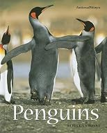 Penguins (Animalways)