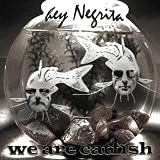 Music : We Are Catfish