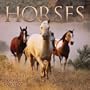 Horses 2004 Wall Calendar