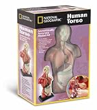 National Geographic - Human Torso
