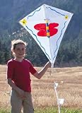 Into The Wind Paint A Diamond Kite