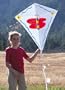 Into The Wind Paint A Diamond Kite