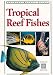 Books : Tropical Reef Fishes (Periplus Tropical Nature Guide)